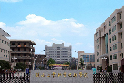 陜西工業(yè)職業(yè)技術(shù)學(xué)院與網(wǎng)絡(luò)技術(shù)服務(wù)的深度融合